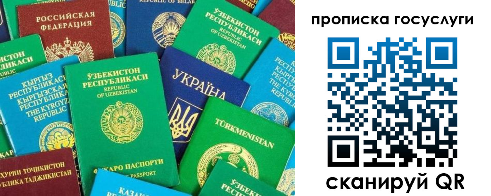 временная регистрация для всех в Гаджиево